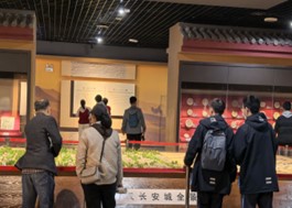 色情视频